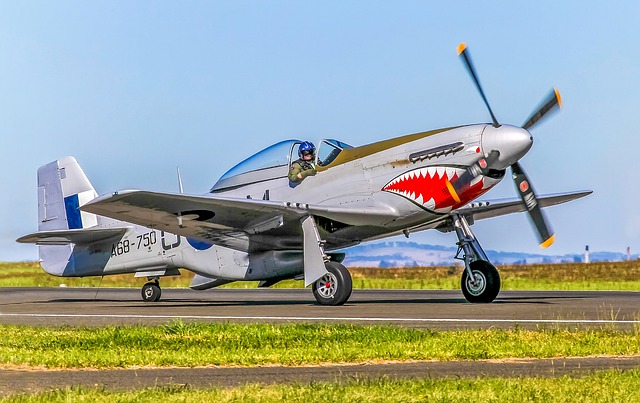 Free download p 51 mustang fighter wwii aviation free picture to be edited with GIMP free online image editor