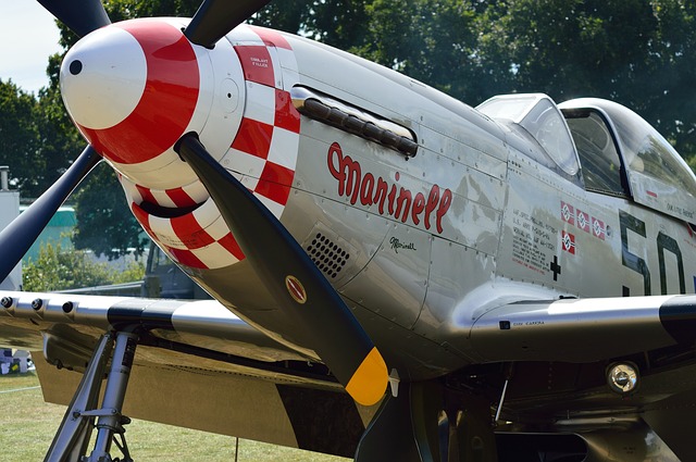 Free download p51 mustang plane fighter plane free picture to be edited with GIMP free online image editor
