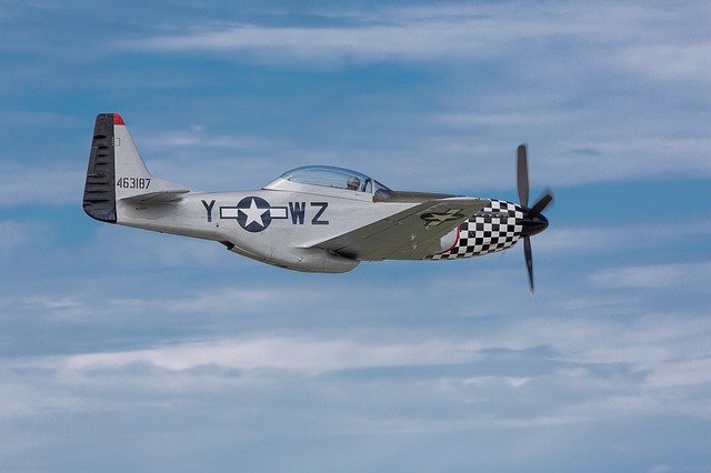 Free download p51 p 51 mustang aircraft airplane free picture to be edited with GIMP free online image editor
