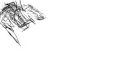 Free download pace22 free photo or picture to be edited with GIMP online image editor