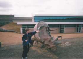Free download Pachyrhinosaurus model, Tyrrell Museum  06 free photo or picture to be edited with GIMP online image editor
