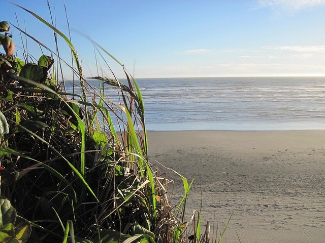 Бесплатно загрузите Трава на пляже Тихого океана - бесплатную фотографию или картинку для редактирования с помощью онлайн-редактора изображений GIMP