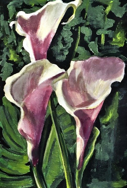 Free download Painted Arum Lilies Acrylic Paint -  free illustration to be edited with GIMP free online image editor