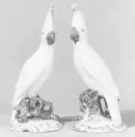 Free download Pair of cockatoos free photo or picture to be edited with GIMP online image editor