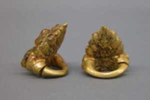 Free download Pair of Ear Ornaments Inlaid with Stones free photo or picture to be edited with GIMP online image editor