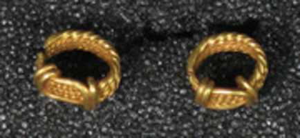 Free download Pair of Earrings, Pennanular Hoop free photo or picture to be edited with GIMP online image editor