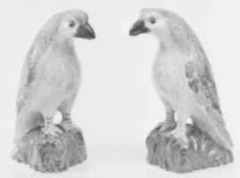 Free download Pair of hawks free photo or picture to be edited with GIMP online image editor