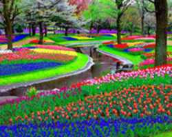 Free download paisajes de flores free photo or picture to be edited with GIMP online image editor