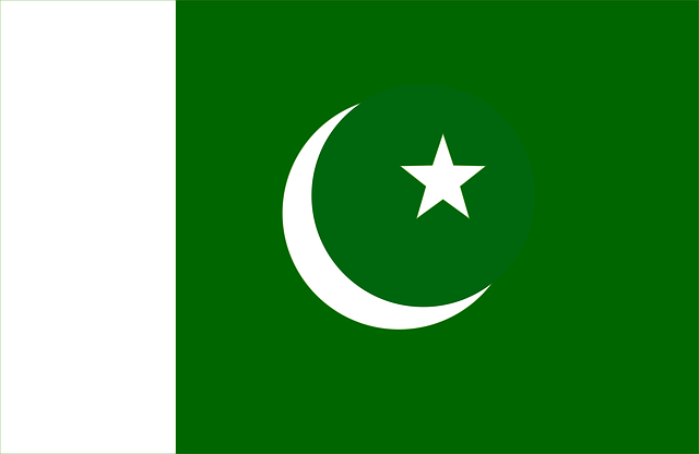 파키스탄 국기 무료 다운로드 - 김프 무료 온라인 이미지 편집기로 편집할 수 있는 무료 일러스트레이션