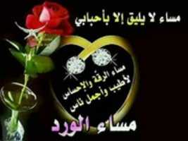 PAL 2015 02 03 184832 016 GIMP online editor free Free download PAL 2015 02 03 184832 016 free photo or picture to be edited with GIMP online image editor