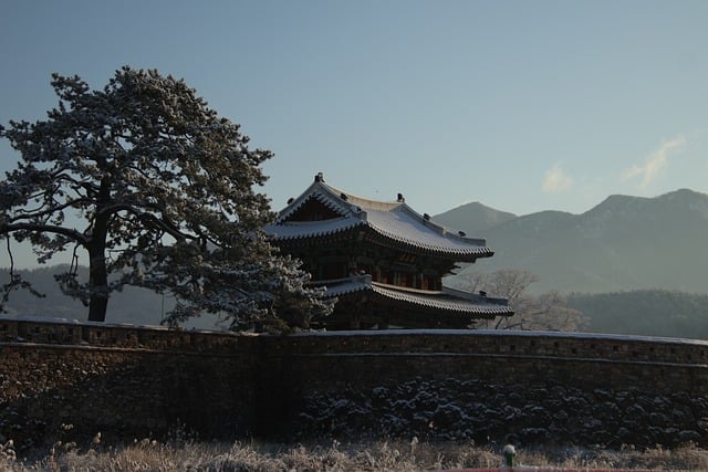 Gratis download paleis winter Zuid-Korea mijlpaal gratis foto om te bewerken met GIMP gratis online afbeeldingseditor