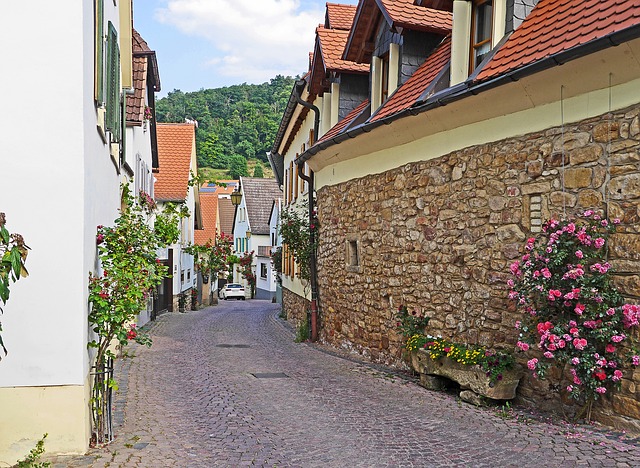 Free download palatinate free picture to be edited with GIMP free online image editor