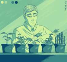 Free download Palette Challenge free photo or picture to be edited with GIMP online image editor