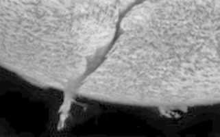 Free download palindroma free photo or picture to be edited with GIMP online image editor