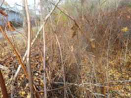 Free download Pallet In Canal free photo or picture to be edited with GIMP online image editor