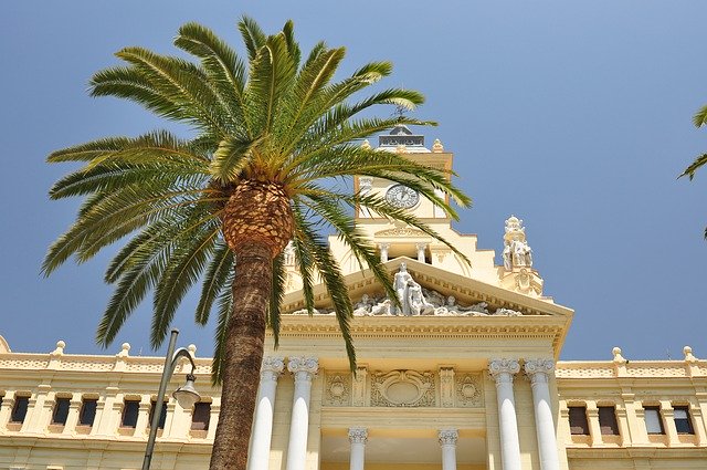 Gratis download Palm Malaga Architecture - gratis foto of afbeelding om te bewerken met GIMP online afbeeldingseditor