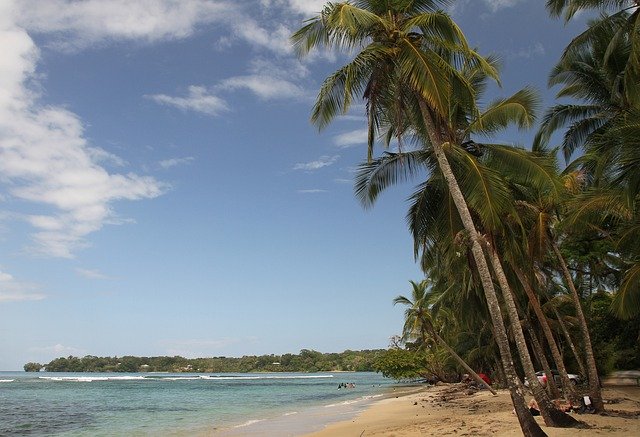 Descarga gratuita Palms Beach Island: foto o imagen gratuita para editar con el editor de imágenes en línea GIMP
