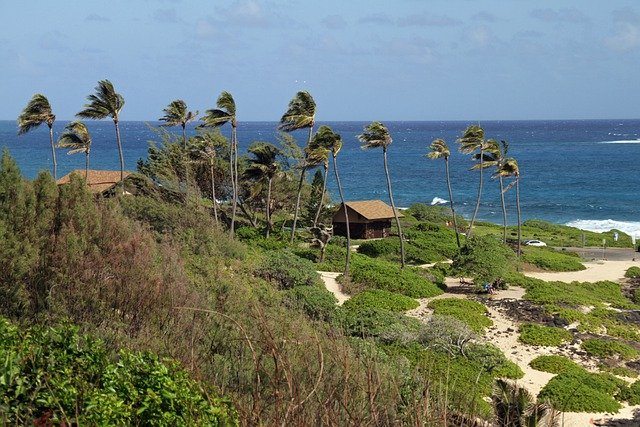 Baixe gratuitamente a imagem gratuita das férias na ilha do mar das palmeiras para ser editada com o editor de imagens on-line gratuito do GIMP