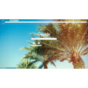 Palm trees in the sunlight  screen for extension Chrome web store in OffiDocs Chromium