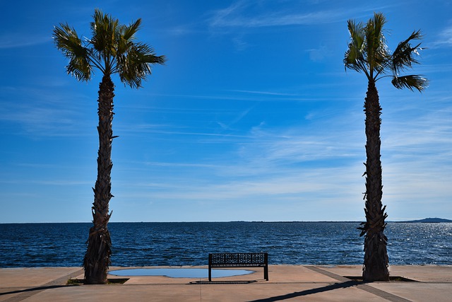 Free download palm trees sea beach sky horizon free picture to be edited with GIMP free online image editor
