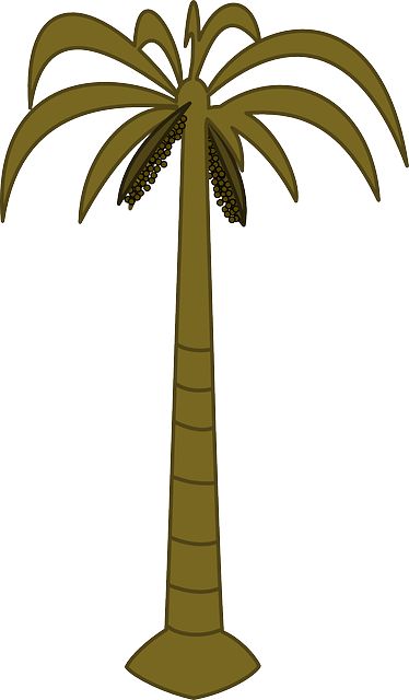 Free download Palm Tree Tropical - Free vector graphic on Pixabay free illustration to be edited with GIMP free online image editor