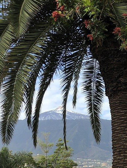 বিনামূল্যে ডাউনলোড করুন Palmtree Volcano Island - বিনামূল্যে ছবি বা ছবি GIMP অনলাইন ইমেজ এডিটর দিয়ে সম্পাদনা করতে হবে