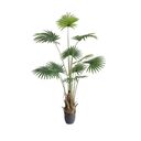 palm tree wallpaper  screen for extension Chrome web store in OffiDocs Chromium