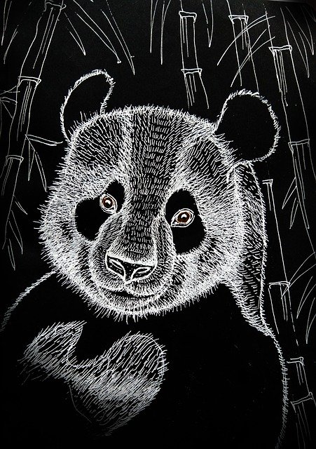 Free download Panda Bear China The Symbol Of -  free illustration to be edited with GIMP free online image editor