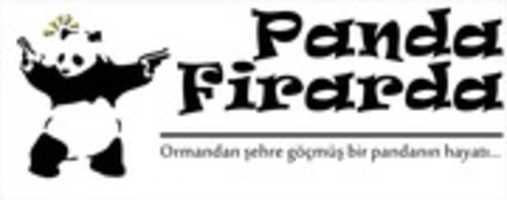 Free download pandafirarda free photo or picture to be edited with GIMP online image editor