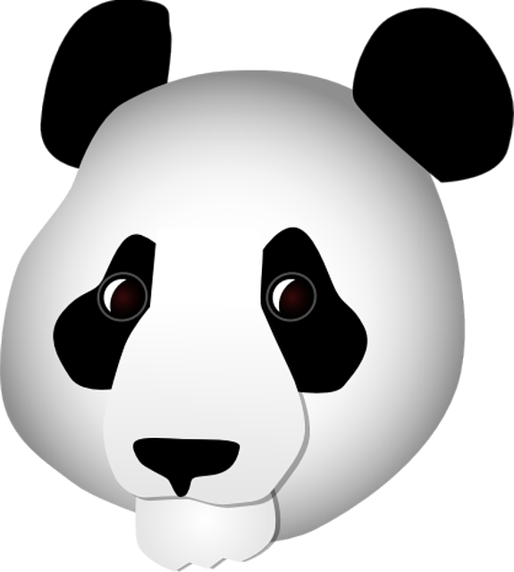 Free download Panda Head Bear -  free illustration to be edited with GIMP free online image editor