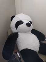 Free download panda occupier free photo or picture to be edited with GIMP online image editor