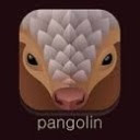 Pangolin VPN  screen for extension Chrome web store in OffiDocs Chromium