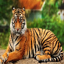 Panthera Tigris  screen for extension Chrome web store in OffiDocs Chromium