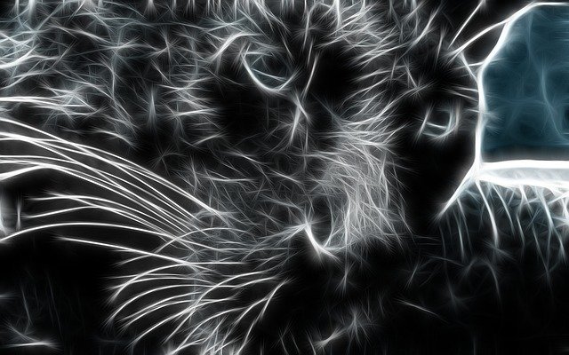 ดาวน์โหลดฟรี Panther Chic - ภาพประกอบฟรีที่จะแก้ไขด้วย GIMP โปรแกรมแก้ไขรูปภาพออนไลน์ฟรี