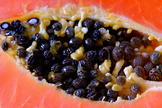 Free graphic papaya seeds fruit ripe fresh to be edited by GIMP free image editor by OffiDocs