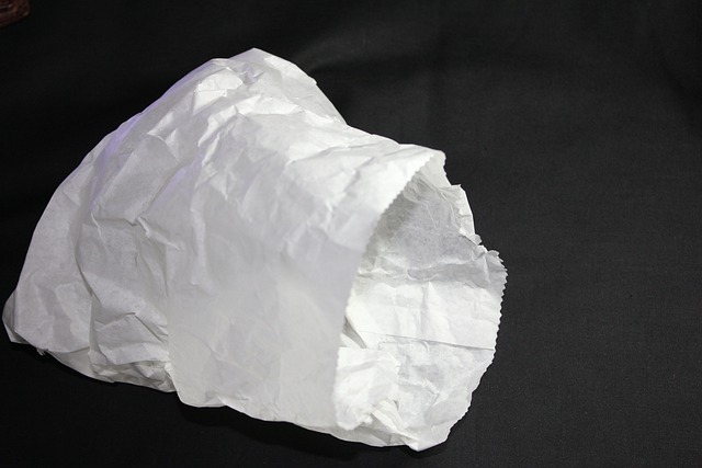 Free download paper bag poke packaging shopping free picture to be edited with GIMP free online image editor