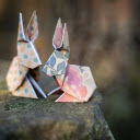 Paper bunny  screen for extension Chrome web store in OffiDocs Chromium