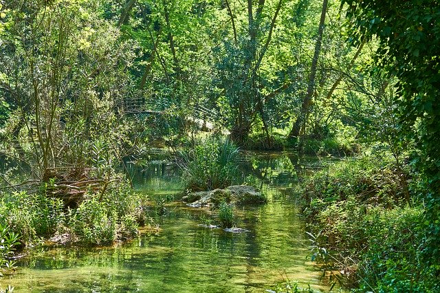 Bezpłatne pobieranie Paradise Green Forest - bezpłatne zdjęcie lub obraz do edycji za pomocą internetowego edytora obrazów GIMP