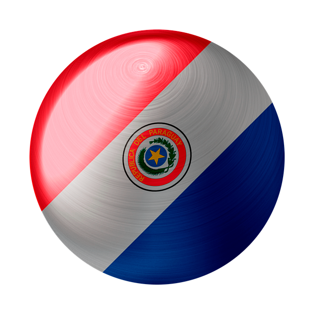 Free download Paraguay Flag Country -  free illustration to be edited with GIMP free online image editor