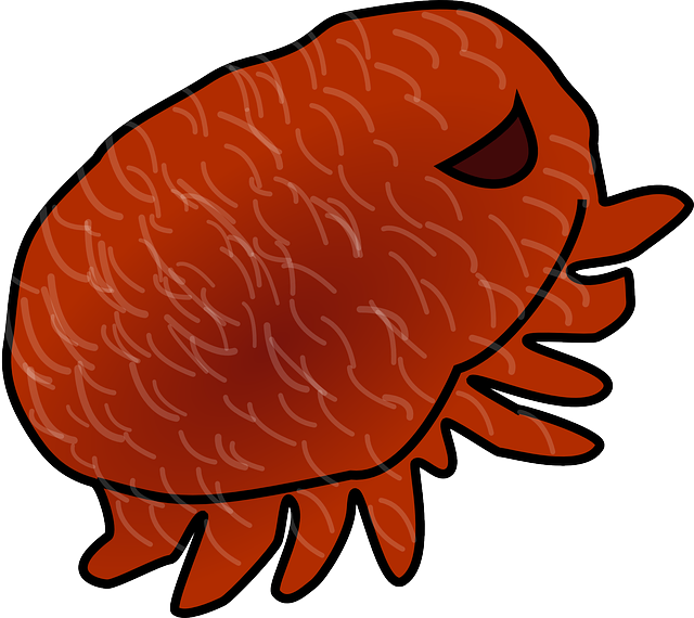 Free download Parasite Louse - Free vector graphic on Pixabay free illustration to be edited with GIMP free online image editor