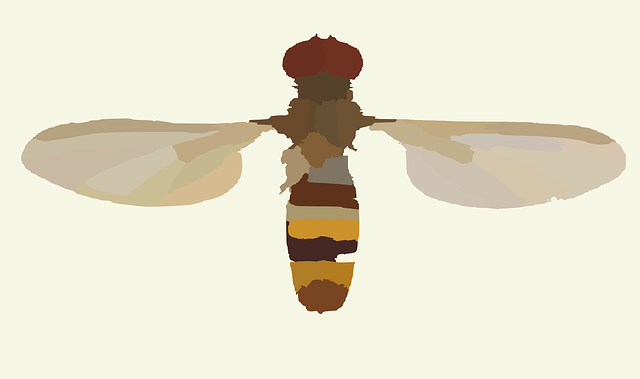 Libreng download Parasitic Wasp Insect - Libreng vector graphic sa Pixabay libreng ilustrasyon na ie-edit gamit ang GIMP na libreng online na editor ng imahe