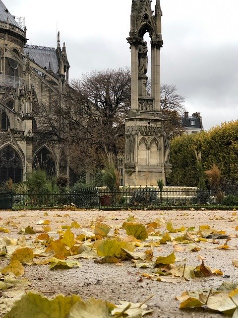 Free download Paris France Autumn -  free photo or picture to be edited with GIMP online image editor