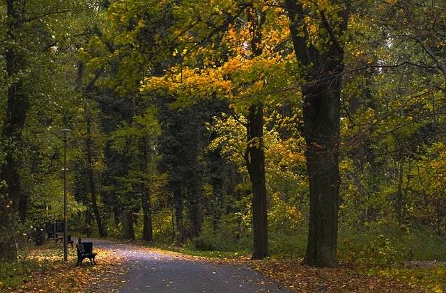 Free download Park Bench Autumn -  free photo or picture to be edited with GIMP online image editor