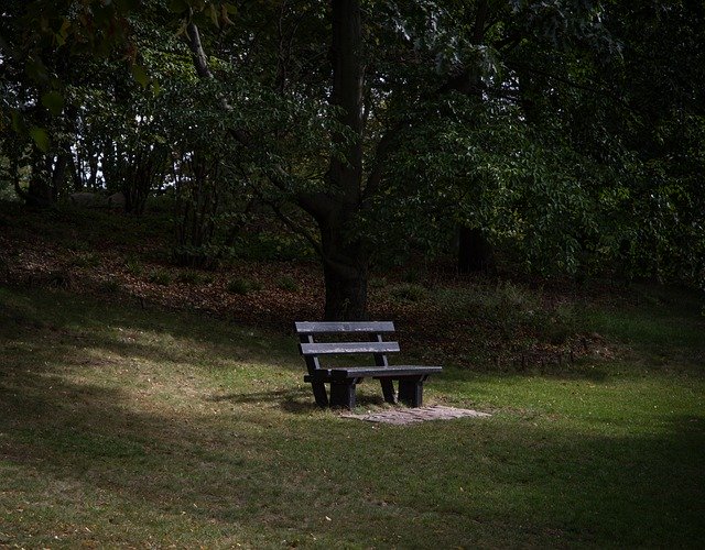 Free download Park Bench Sunlight -  free photo or picture to be edited with GIMP online image editor