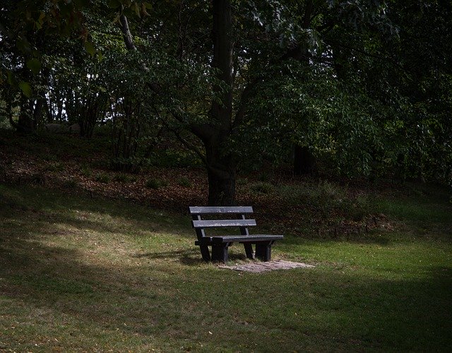 Download gratuito Park Bench Sunlight: foto o immagine gratuita da modificare con l'editor di immagini online GIMP