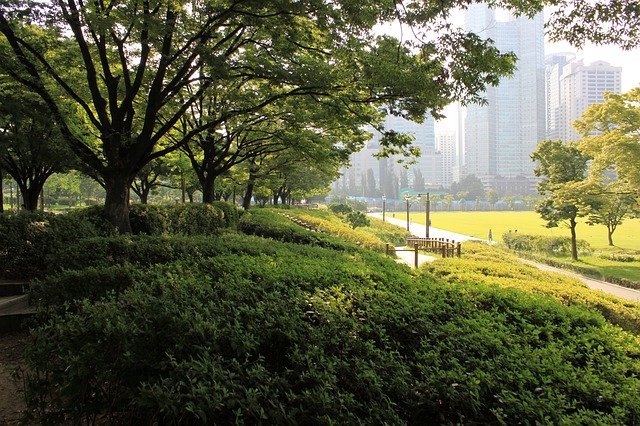 Tải xuống miễn phí Park Break Walk - chỉnh sửa ảnh hoặc ảnh miễn phí miễn phí bằng trình chỉnh sửa ảnh trực tuyến GIMP