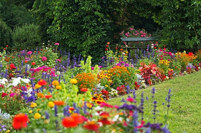 Free download Park Colorful Flower Beds Orangery -  free photo or picture to be edited with GIMP online image editor