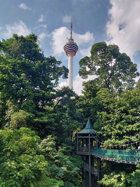 Unduh gratis Park Eco Forest Tower - foto atau gambar gratis untuk diedit dengan editor gambar online GIMP