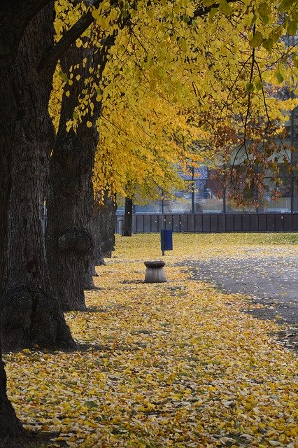 Unduh gratis Taman Dedaunan Musim Gugur - foto atau gambar gratis untuk diedit dengan editor gambar online GIMP