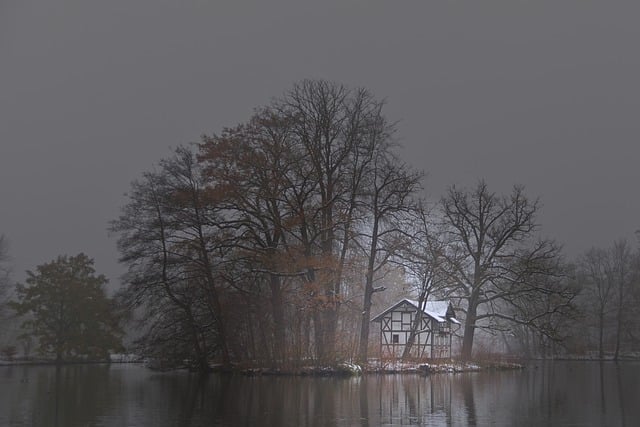 Free graphic park lake island fog snow to be edited by GIMP free image editor by OffiDocs